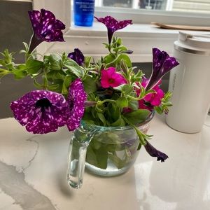 Meet your Posher, Angie